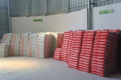 惠州膩子粉全面指南 批發、品牌、招商與價格解析